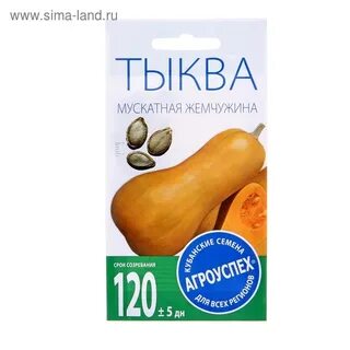 Тыква мускатная отзывы