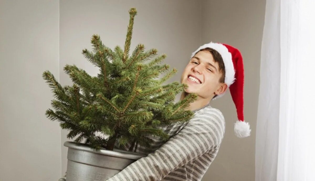 Елка после меня. Елка после меня. Елка после меня. Елка "точки расставлены". Ёлка певица альбомы.