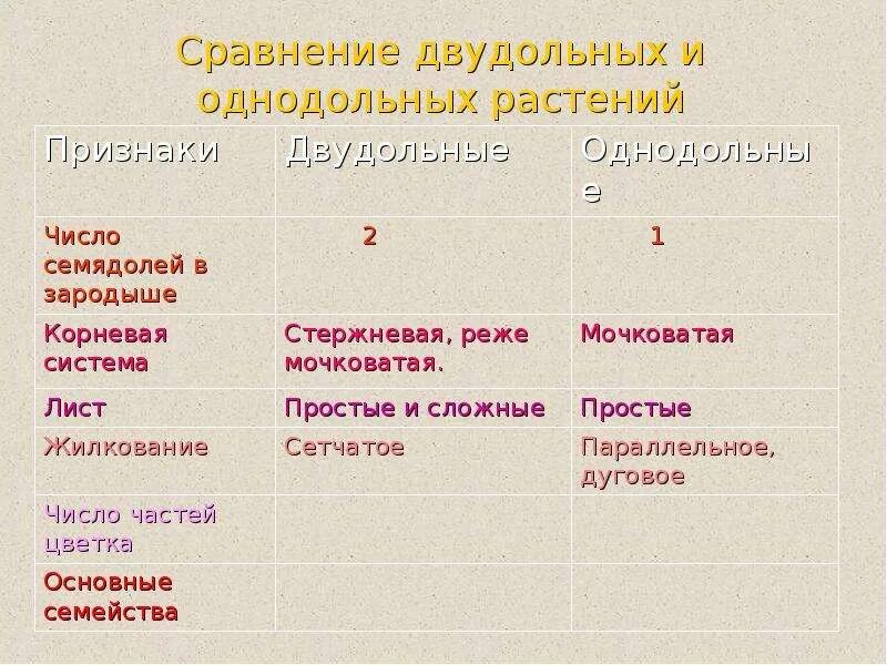 Признаки семейств однодольных растений таблица. Характеристика семейств однодольных и двудольных. Признаки однодольных и двудольных растений таблица. Однодольные и двудольные растения таблица.