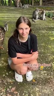 Zhenya225004's tweet video. 