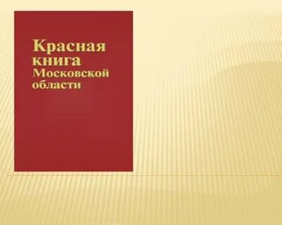 Книга московская область