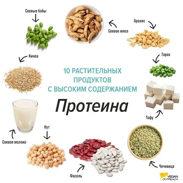 Продукты б п. Продукты содержащие протеин. Продукты с высоким содержанием протеина. Продукты богатые протеином. Белок для вегетарианцев.