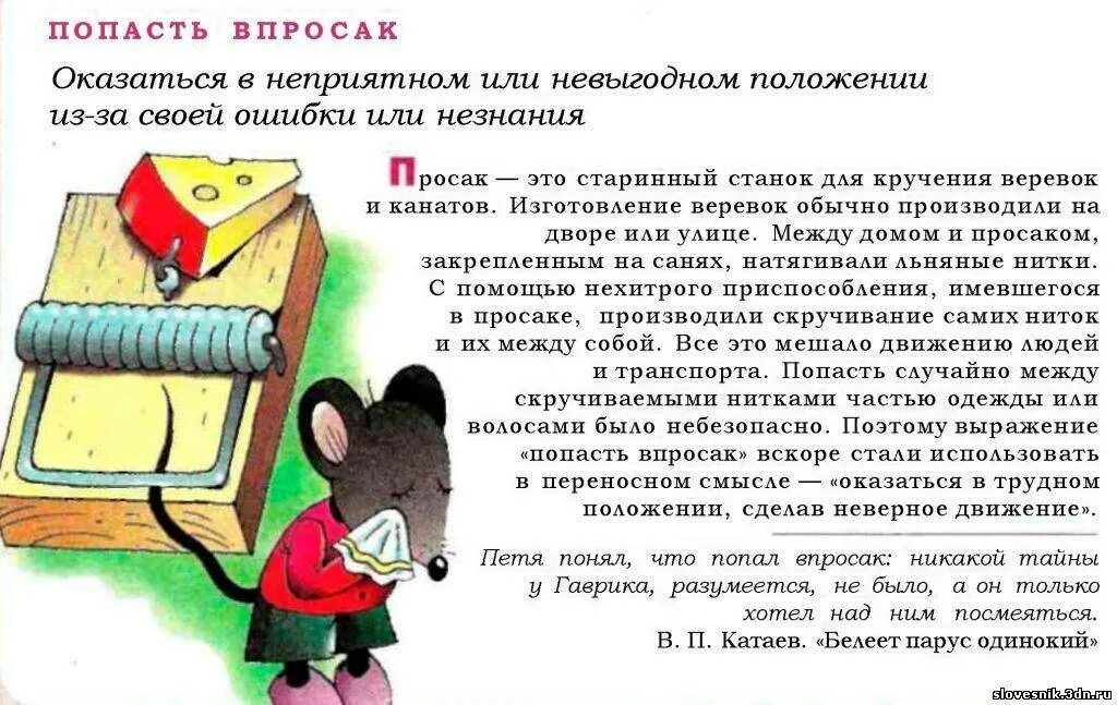 Неприятное положение. Фразеологизм попасть впросак. Попасть впросак. Попасть впросак значение фразеологизма. Что значит попасть впросак фразеологизм.