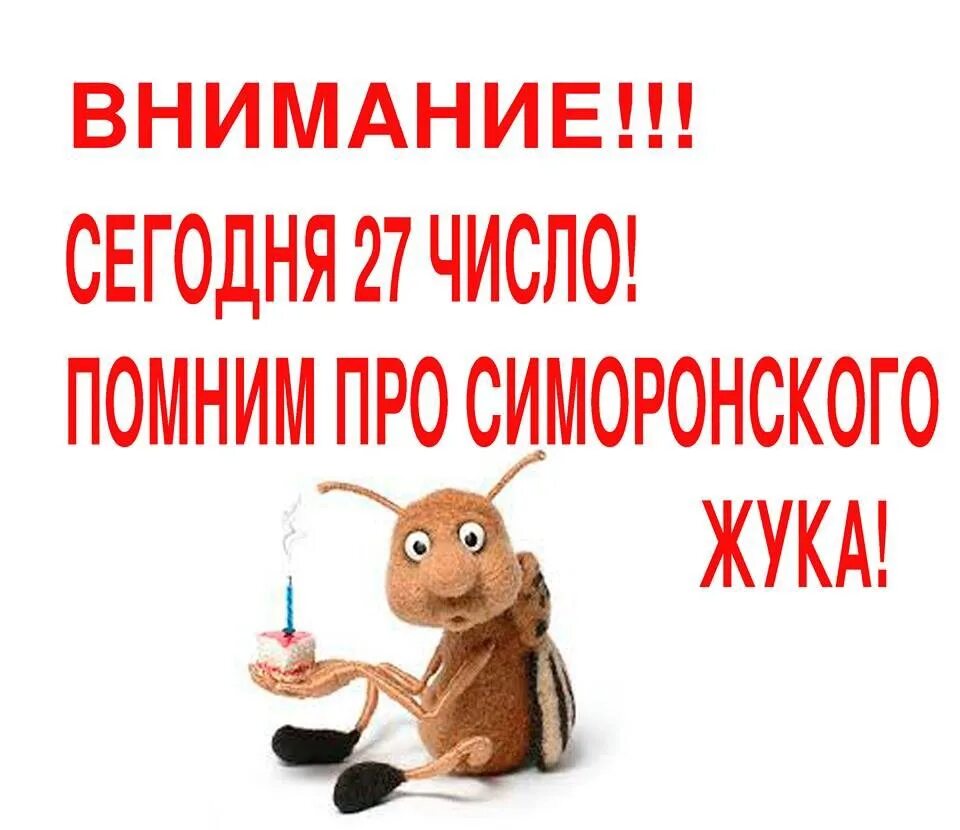 Жук симорон 27. Симорон пусть хитрый жук. жук 27 числа хитрый симоронский. симорон жук. пусть хитрый жук успеет влезть.