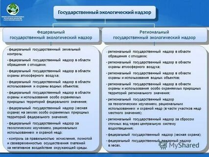 Федеральный государственный экологический надзор
