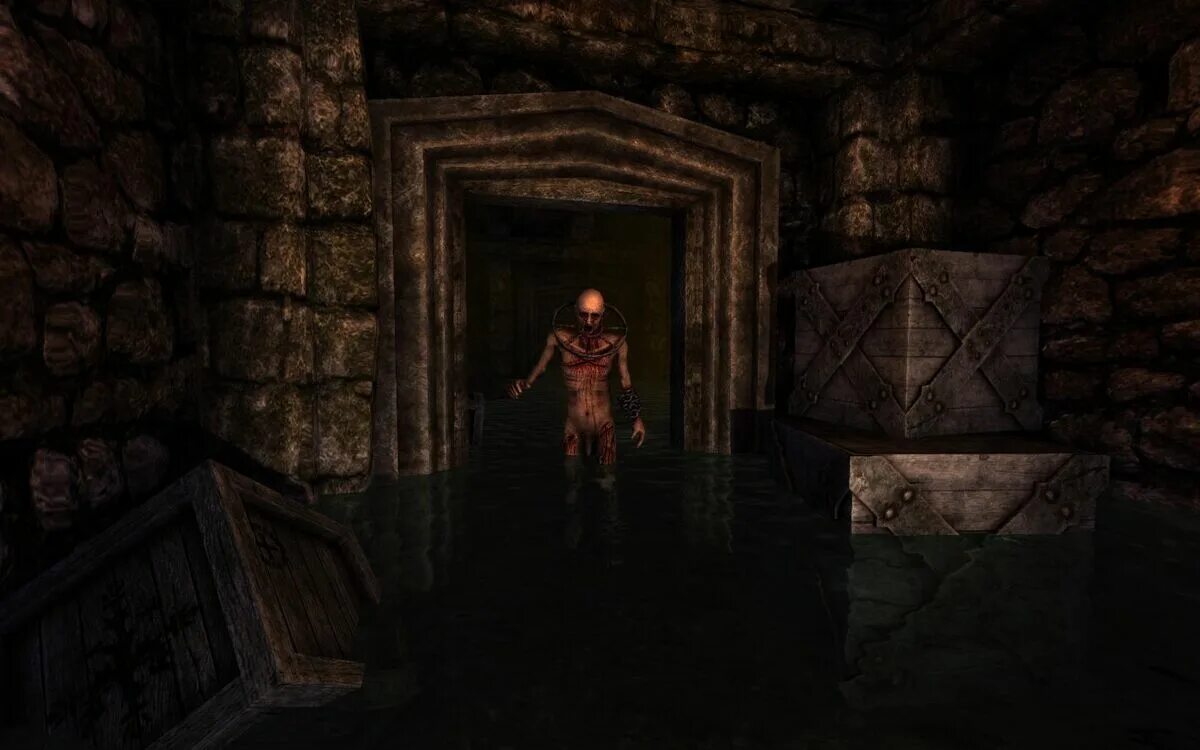 Amnezia client github