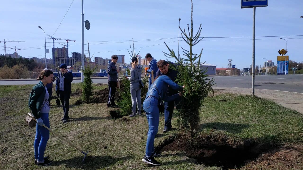 Уфа посадка деревьев. 5 Апреля день посадки деревьев. Посадка деревьев военными. 2 Дня посадки деревьев в Ташкенте. Посадили деревья через