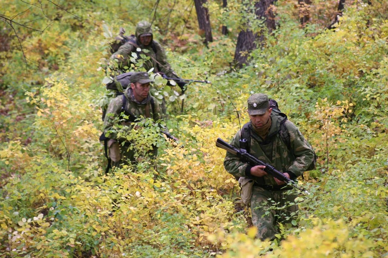 Военный дозор. Диверсионно-разведывательная группа спецназ РФ. Войсковая разведка сухопутных войск РФ. Тактическая разведка. Военные в лесу.