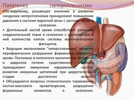 Увеличенная печень причины симптомы лечение