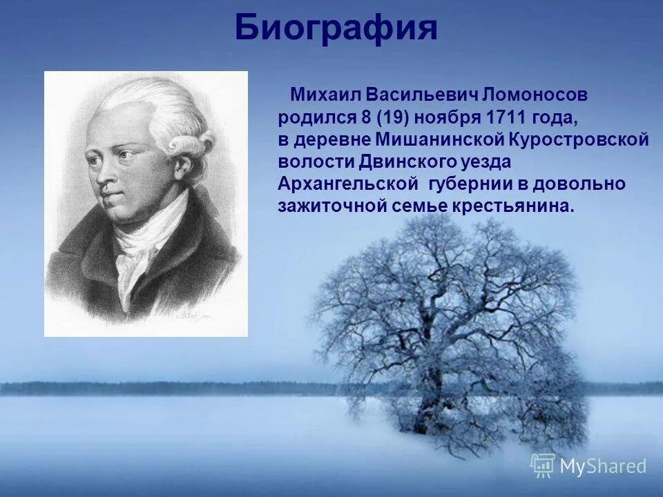 М В Ломоносов родился в 1711. Где работал м в ломоносов