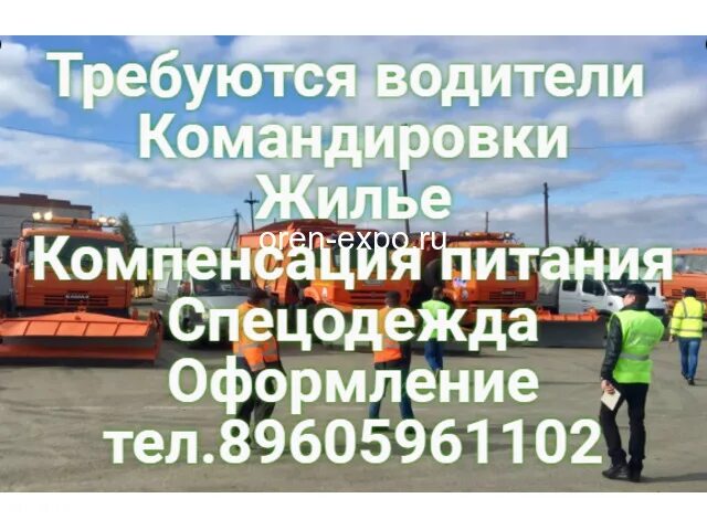 Работа в туле водитель категории в
