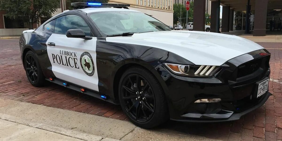 Полицейский мустанг. Ford Mustang gt 2014 Police. Форд Мустанг полиция США. Ford Mustang gt 2018 Police. Форд 500 полиция Мустанг.