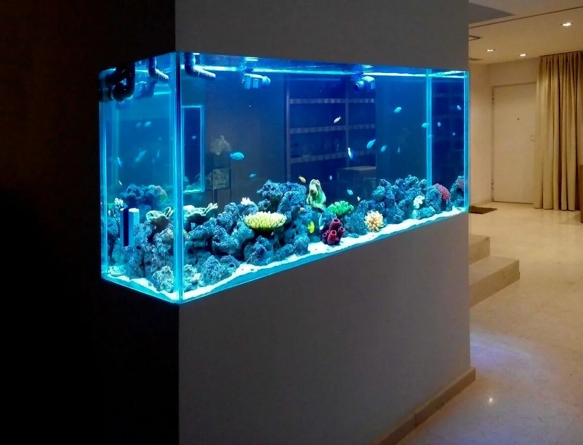 Домашние аквариумы. Аквариум в интерьере. Большие аквариумы. Крупные аквариумы. Большие аквариумы.