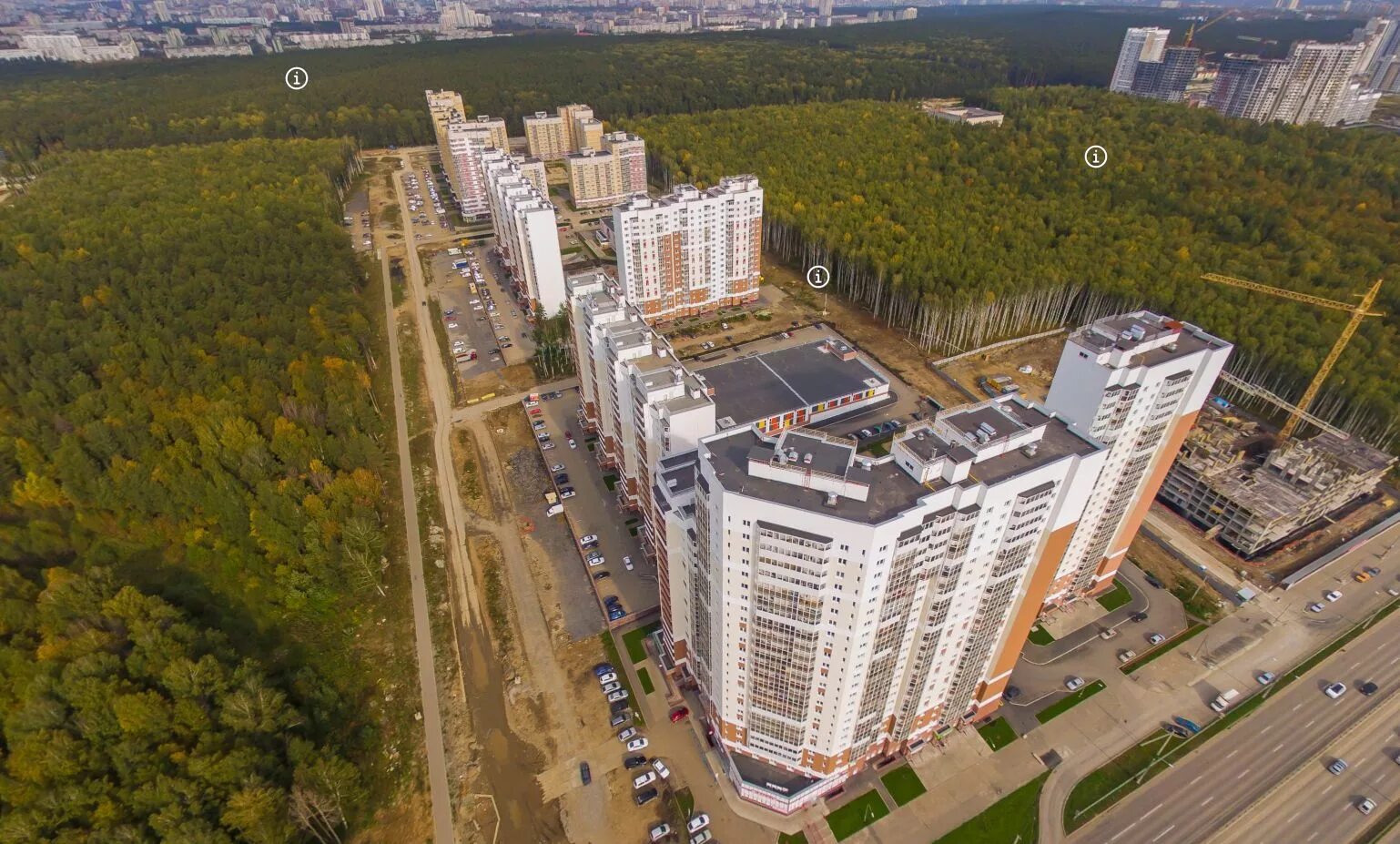 Ул березовая роща дом 1 в воронеже. Весенний березовый лес. Солнечный березовый лес. Берёза ойковская. Клиника кузнецова березовая роща.