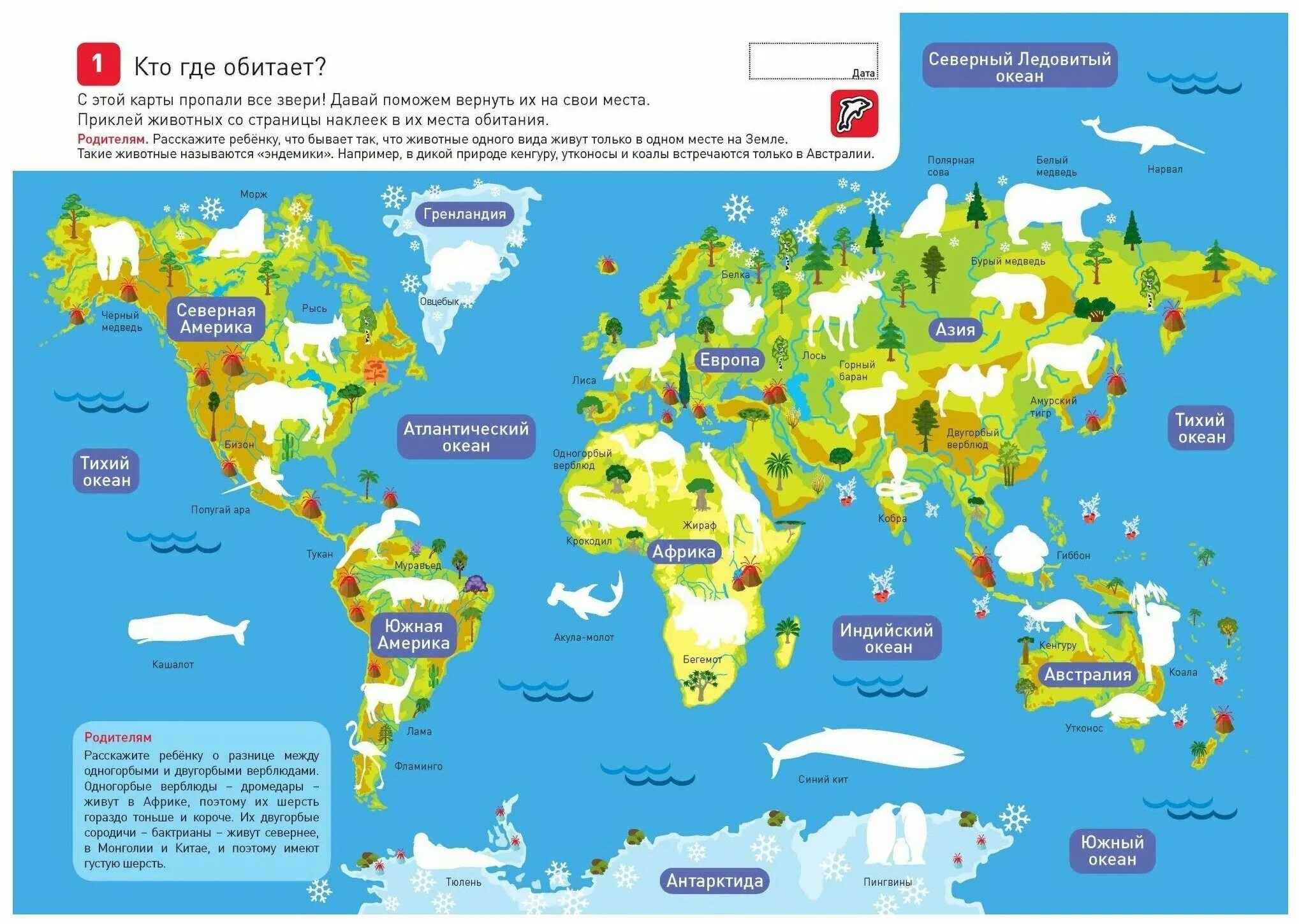 карта обитания рыб. колибри ареал обитания. где обитает карту. где обитает карту. жираф зона обитания.