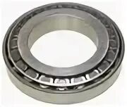 Bearing man