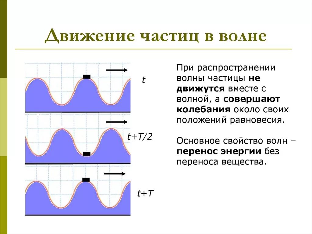 Каких направлениях совершаются колебания в продольной волне. Движение частиц в волне. Плоская синусоидальная волна. Движение частиц в поперечной волне. Гармоническая поперечная волна.