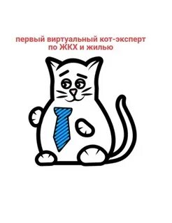 Кот 24 года