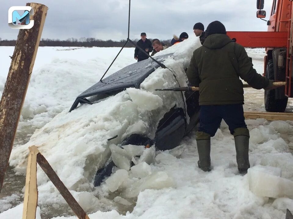 Клев великий устюг