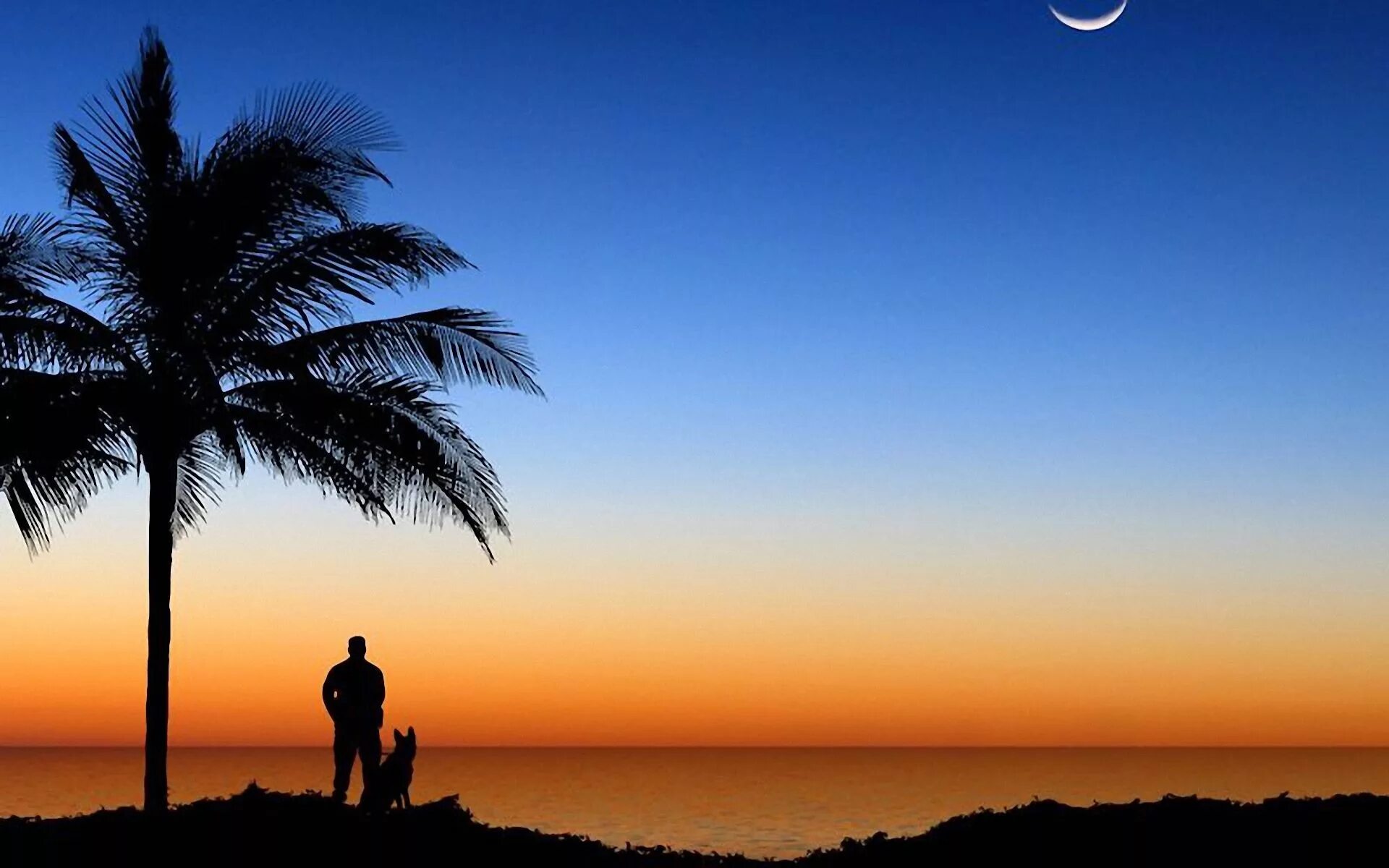 завтра новый день. завтра может не наступить никогда. шелдон если наступит завтра. пока не наступит завтра. когда нибудь наступит завтра но не сегодня.