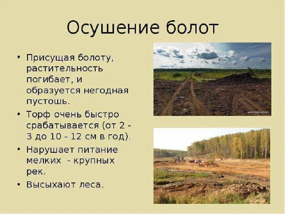 Влияние человека на болото. Осушение торфяных болот. Влияние человека на болото. Мелиорация осушение болот. Доклад про болото.