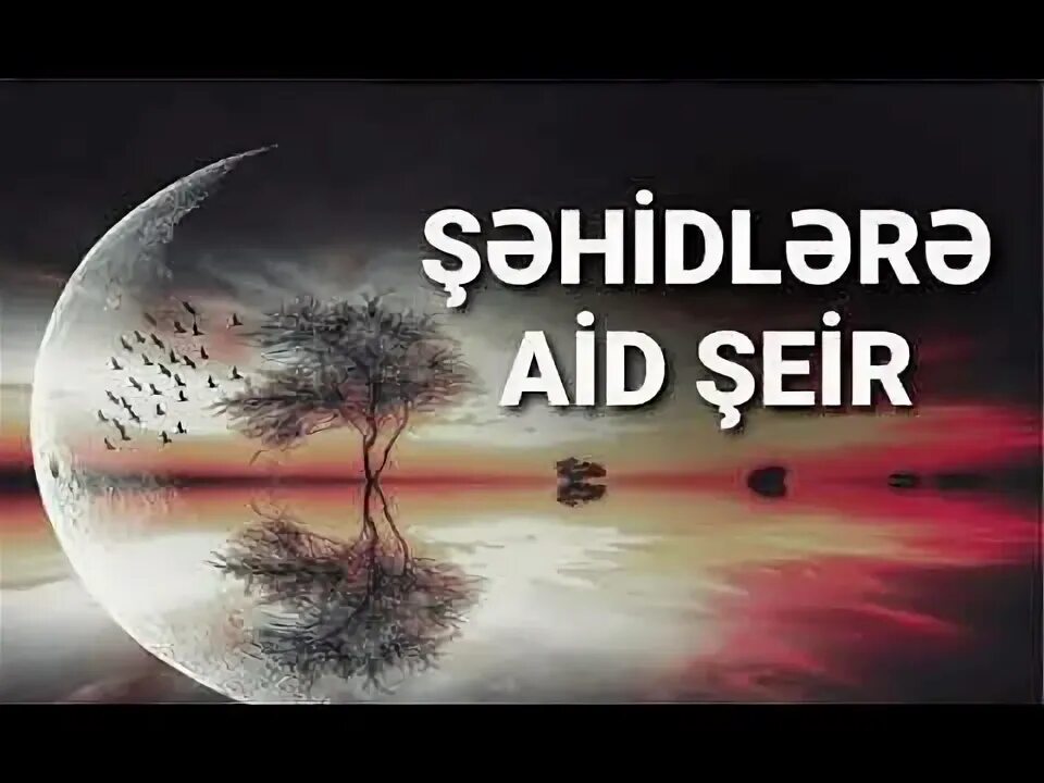 Vetene aid şeirler. Стихи на азербайджанском языке. Sevgi aid seirler. Vetene ai seir. Aid seirler.