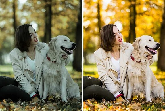 Raw presets