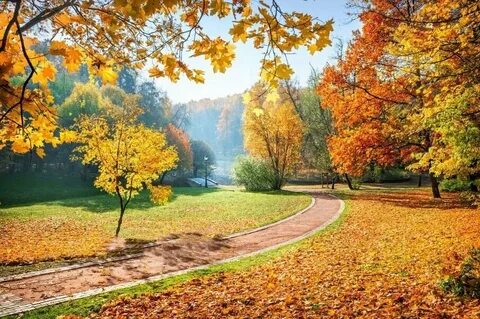 Осенний день в парке
