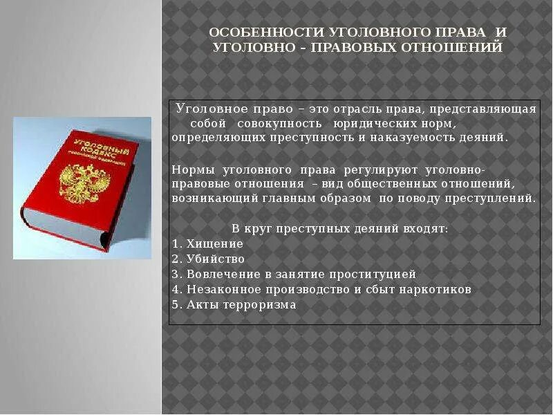 Повод в уголовном праве