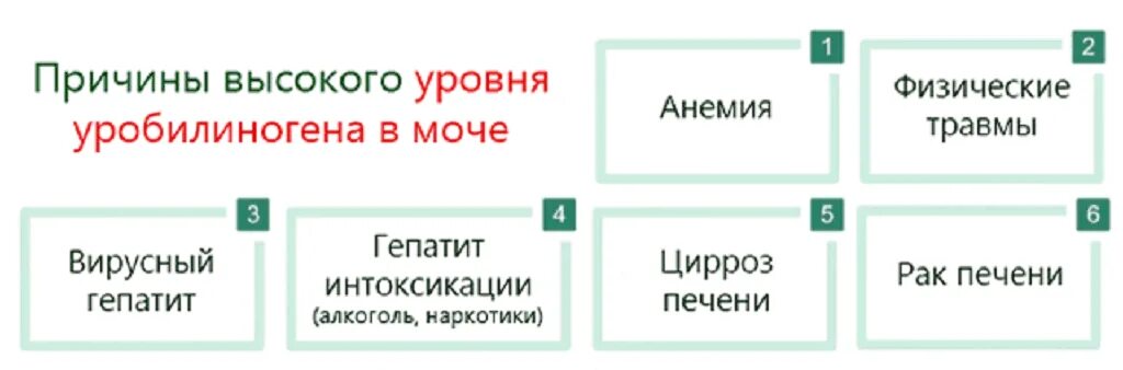 Уробилиноген повышен у мужчин. Повышение уробилиногена в моче причины. Уробилин повышен причины в моче. Уробилин повышен причины в Мосе. Уробилиноген причины повышения.