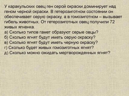 У овец серая окраска шерсти доминирует