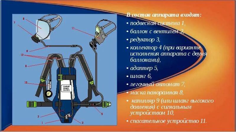 Общее устройство сизод. Драгер дыхательный аппарат ттх. ттх дыхательного аппарата ап омега. подвесная система дыхательного аппарата ап омега. устройство дыхательного аппарата птс профи м.