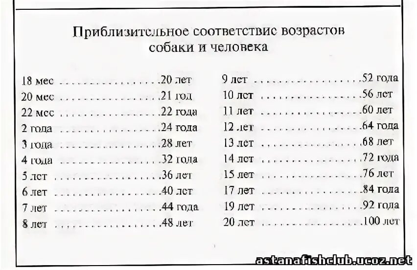 Соответствие возраста собаки и человека таблица. Соответствие возраста собаки и человека таблица для средних пород. Соотношение возраста собаки и человека по месяцам таблица. Таблица соответствия собачьего и человеческого возраста.