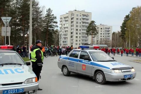 Полиция челябинской