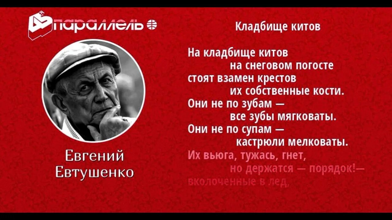 Евтушенко стихи.