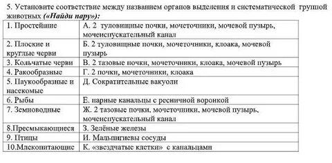 Установите соответствие организмы группы