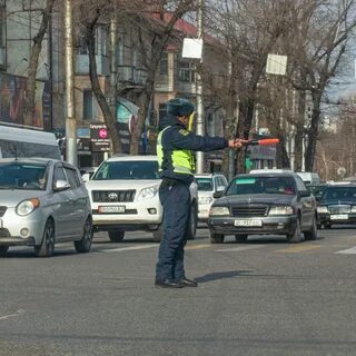 Пдд сего