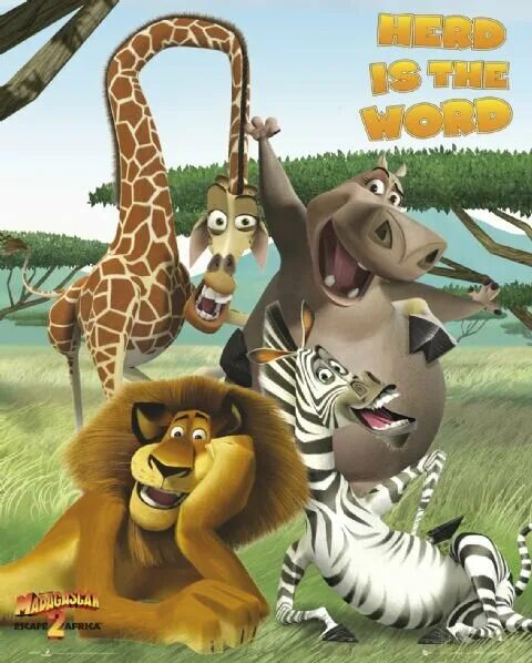 Мадагаскар (madagascar) 2005. Мадагас. Мадагаскар 1 мультфильм. Мадагаскар мультик. Мадагас.