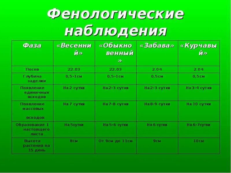 Таблица по биологии сезонные изменения. Фенологические наблюдения. Журнал фенологических наблюдений. Дневник фенологических наблюдений. Фенологические наблюдения в природе.