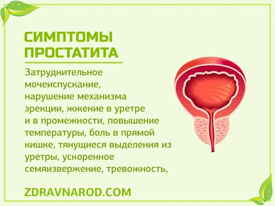 Простатиты симптомы ощущения и лечение. Простатиты у мужчин симптомы.