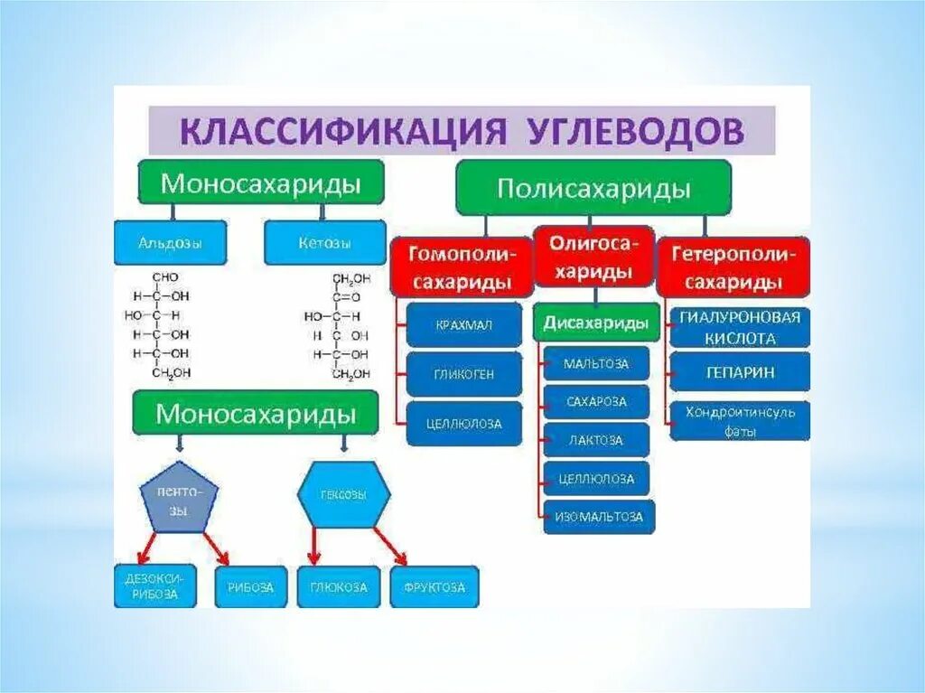 Классификация углеводов моносахариды дисахариды. Классификация углеводов: 1.моносахариды. Классификация углеводов схема. Классификация и строение моносахаридов. К 1 группе относится