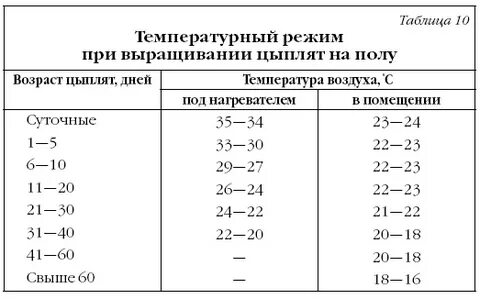 Возраст бройлера температура