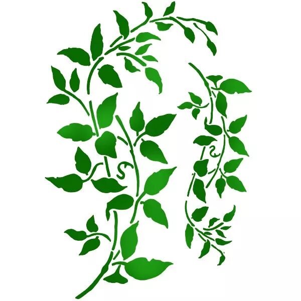 Зеленый трафарет. Веточка шаблон. Зеленый лепесток. Monstera leaf контур. Зеленый трафарет.