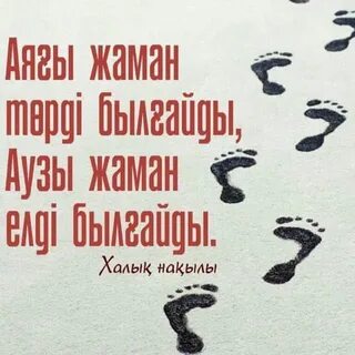 Махачкаладағы үйдегі жезөкшелер