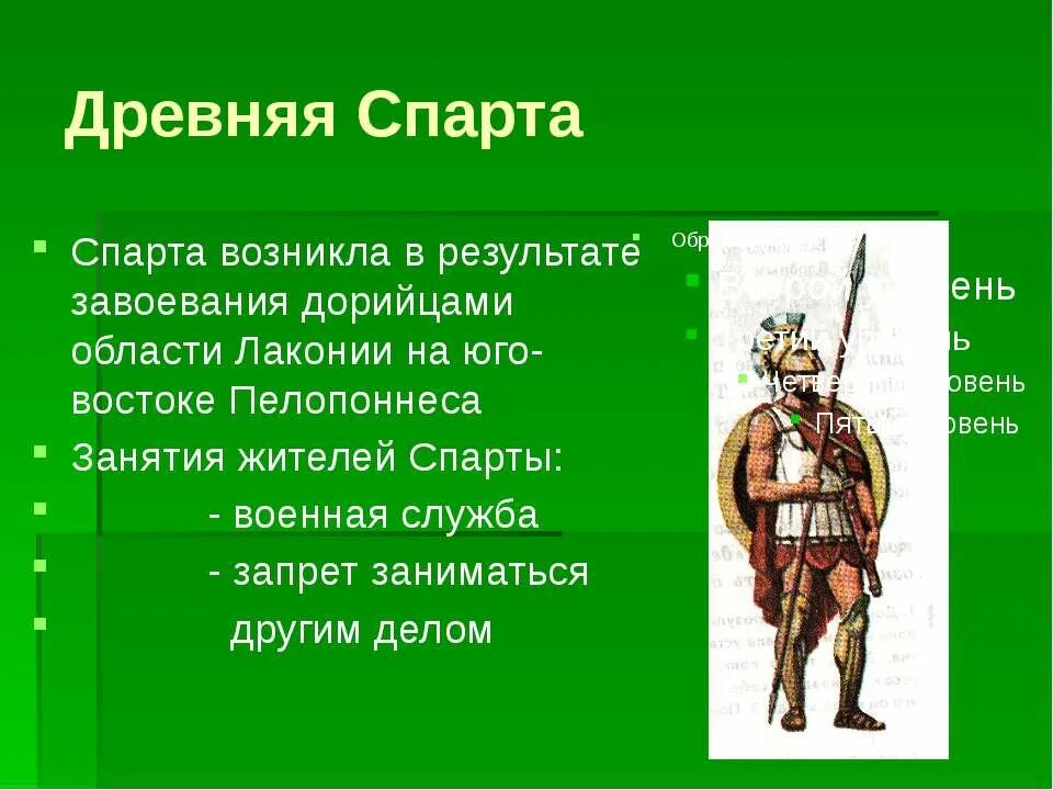 Сообщение по истории про спартанцев. Доклад по истории 5 класс древняя спарта. Краткое содержание древняя история спарта. Краткое содержание древняя история спарта. Спартиаты в древней греции это.