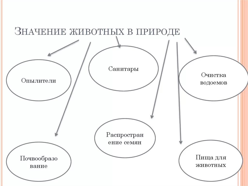 Значение для природы 5 класс. Значение животных в природе. Значение животных в природе и для человека. Биология значение животных в природе. Роль животных в жизни человека.