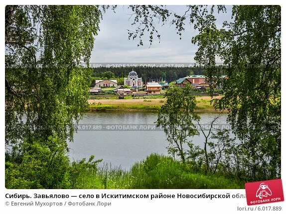 В Росреестре разъяснили порядок приватизации арендуемых садовых участков