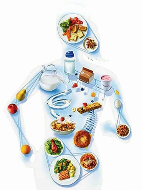 Питание 5 энергий. Питание человека. Энергия пищи. Еда для организма человека. Снабжение организма пищей.