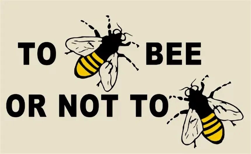 Bee тег. Wasp honey. Bee2. Fat bee. Каламбур в английском языке примеры.