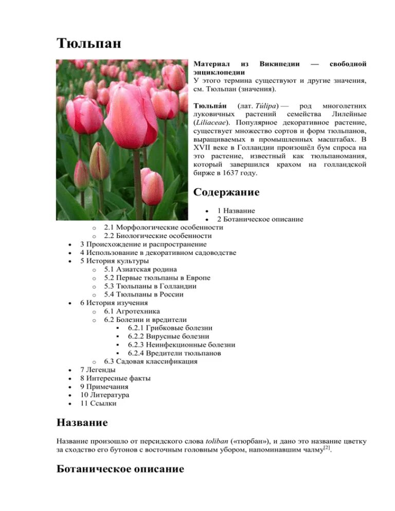 Тюльпан голландский таксономия. Описание цветка тюльпана 6 класс биология. Характеристика цветка тюльпан биология 6 класс. Характеристики тюльпана биология 10 класс.